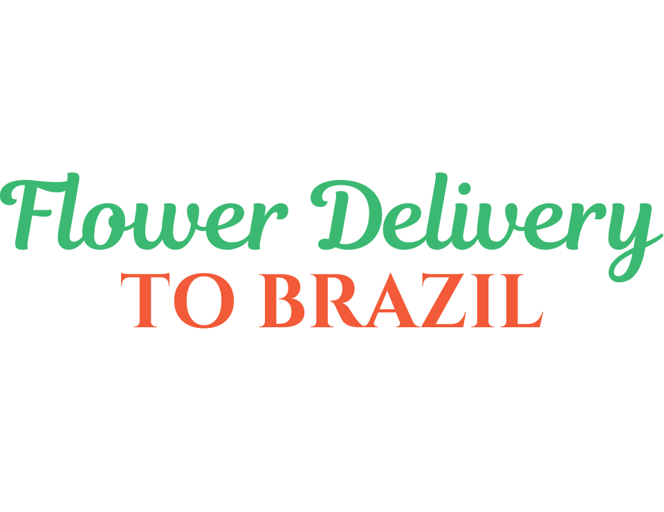 Sao Paulo T